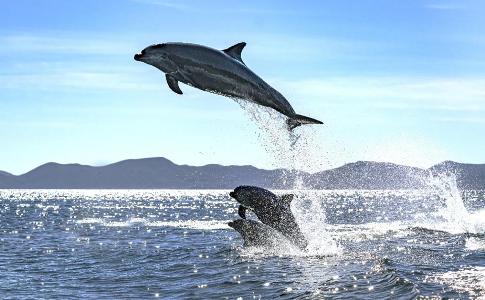 Bahia Concepción, large baie aux eaux turquoise de la mer de Cortez près de Mulege