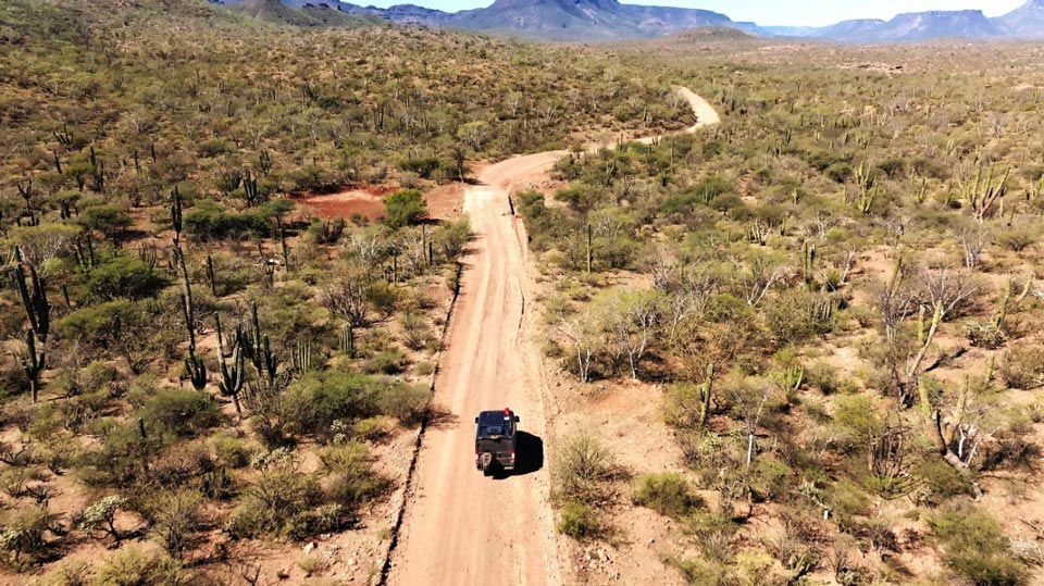 Piste désertique traversée en 4x4 au milieu des cactus géants, Basse Californie