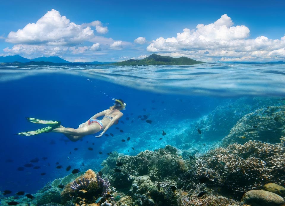 Snorkeling au-dessus d'un récif de corail dans les eaux turquoise de la mer de Cortez