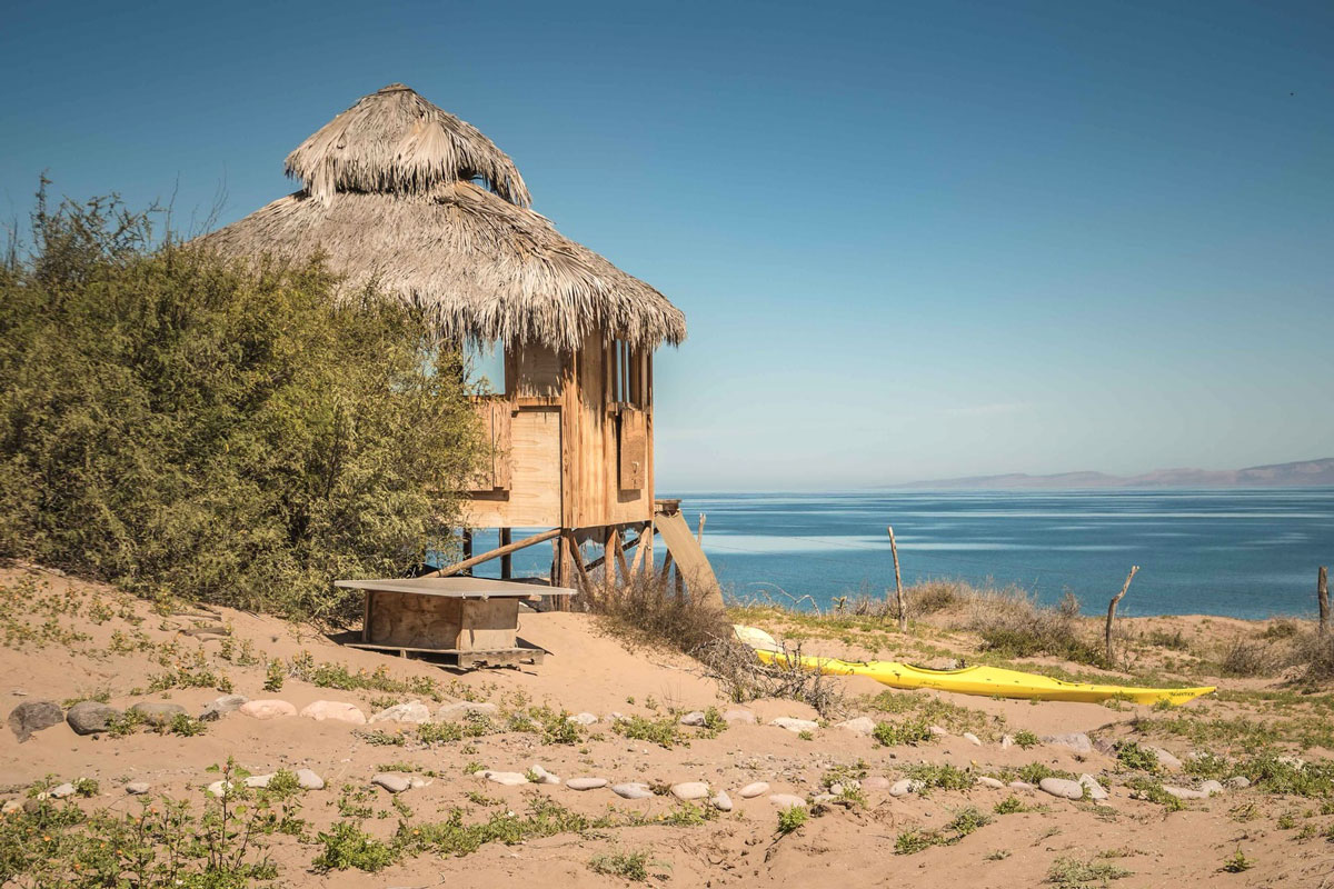 Ranch cactimar desert Basse Californie Mexcapade