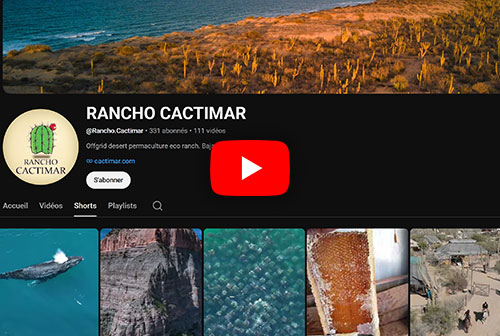 Retrouvez Le Rancho Cactimar sur Youtube